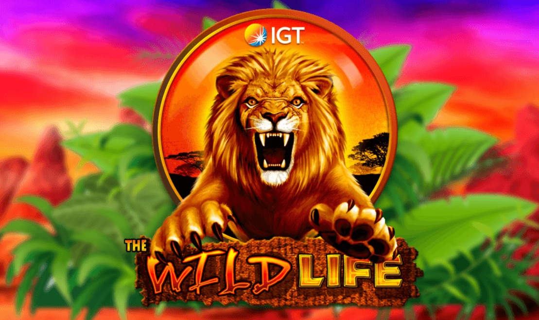 Wild Life slot 1