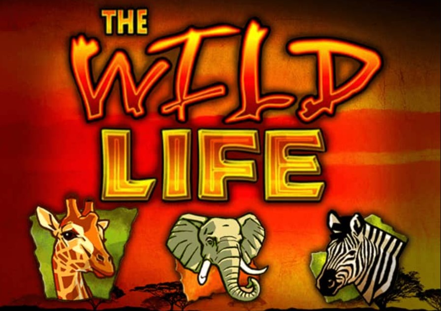 Wild Life slot 3