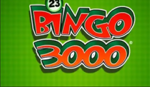 Bingo 3000