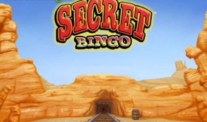 Secret Bingo