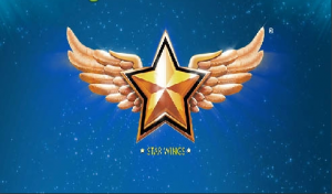 Star Wings