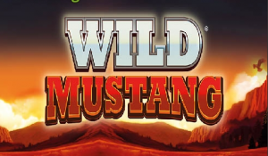 Wild Mustang