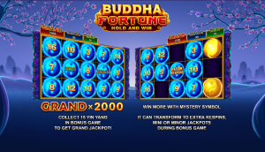 Buddha Fortune Hold And Win