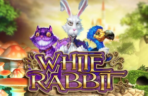 White Rabbit