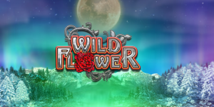 Wild Flower