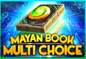 Mayan Book