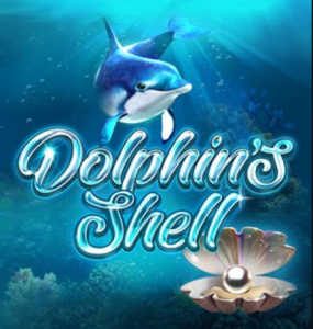 Dolphins Shell