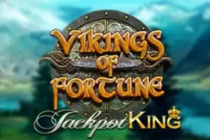 Vikings Of Fortune