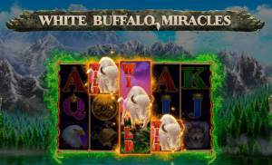 White Buffalo Miracles